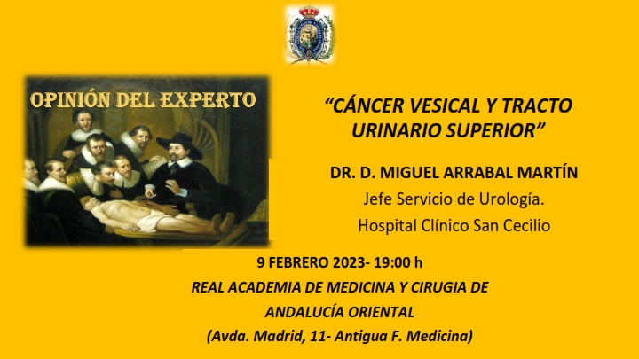 Opinión del experto. Dr. D. Miguel Arrabal Martín: «Cáncer vesical y tracto urinario superior»